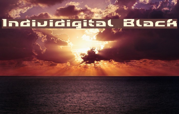 Individigital Black Example 2