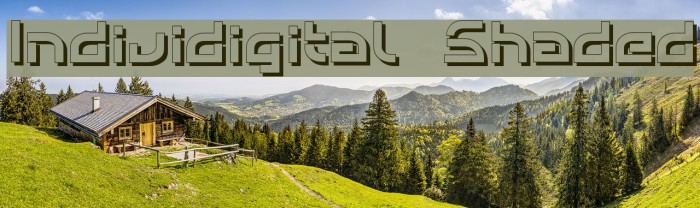 Individigital Shaded Example 1