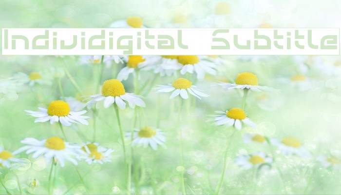 Individigital Subtitle Font examples