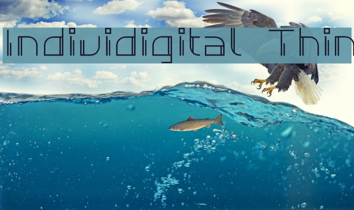 Individigital Thin Example 2