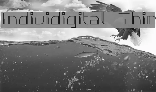 Individigital Thin Font examples