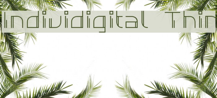 Individigital Thin Example 3