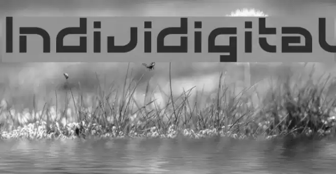 Individigital Font examples