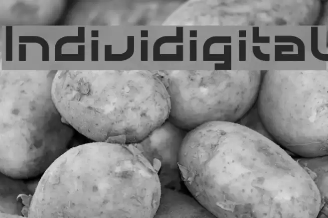 Individigital Font examples