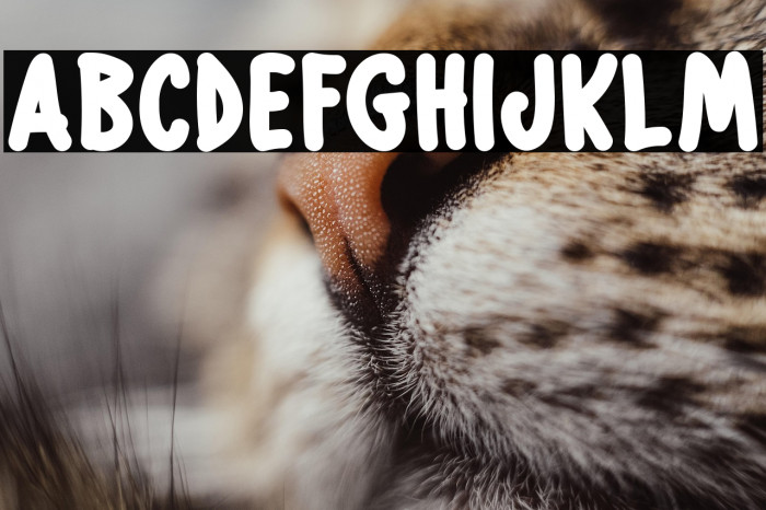 Individual Thinking Example 2