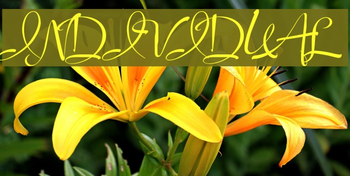 Individual Font examples
