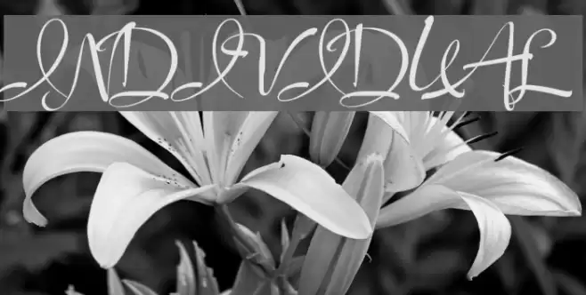 Individual Polices examples