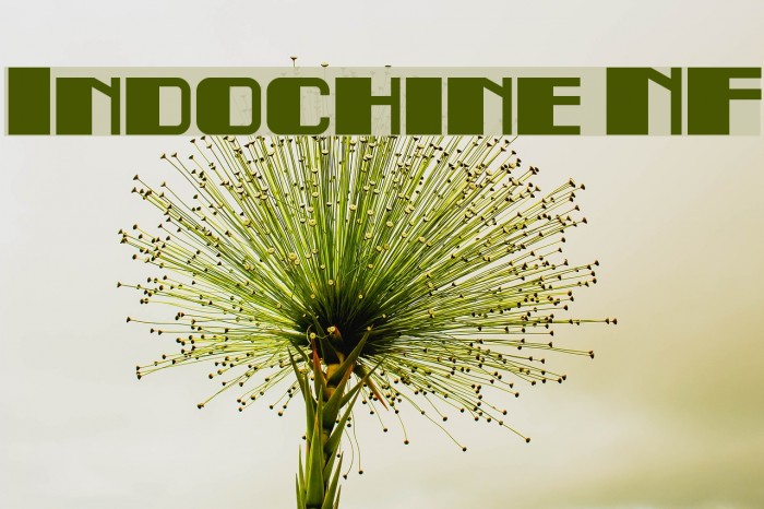 Indochine NF Font examples