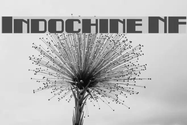 Indochine NF Font examples