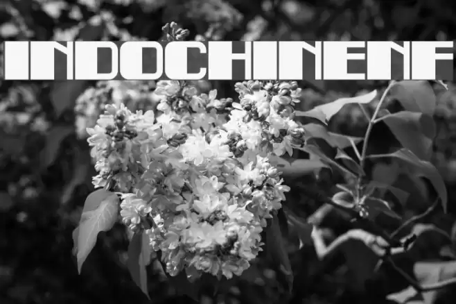 IndochineNF Font examples
