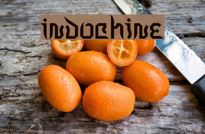 Indochine Font examples