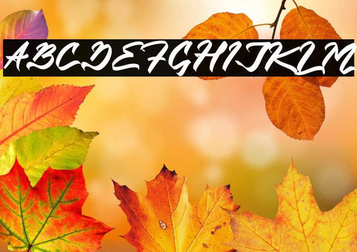 Indonesia Ceriwise Example 1