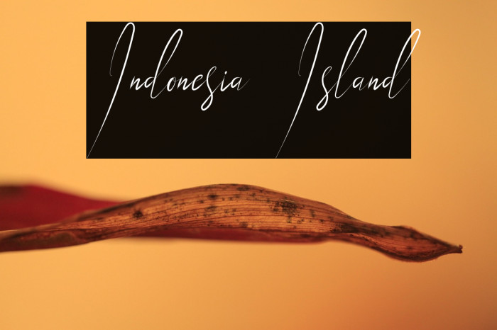 Indonesia Island Example 3