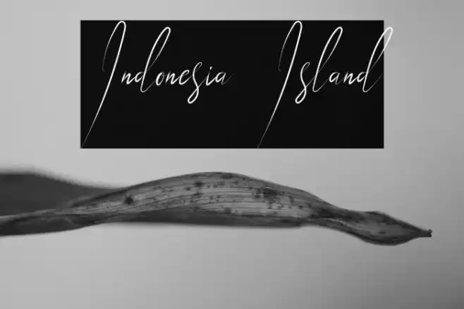 Indonesia Island Font examples