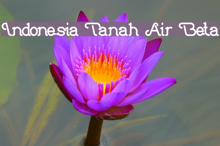 Indonesia Tanah Air Beta Font examples