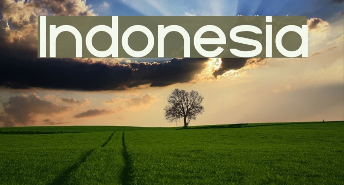 Indonesia Font examples