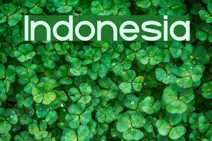 Indonesia Font examples