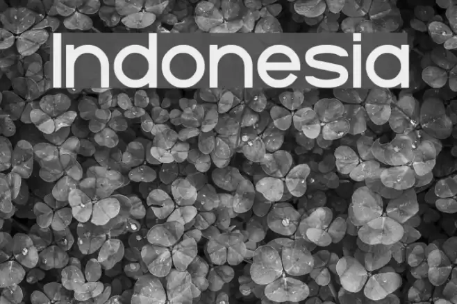 Indonesia Font examples