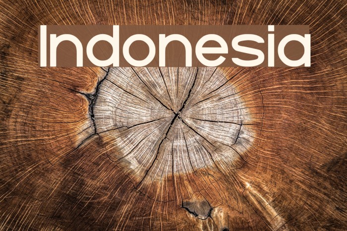 Indonesia Font examples