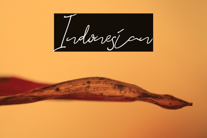 Indonesian Example 1