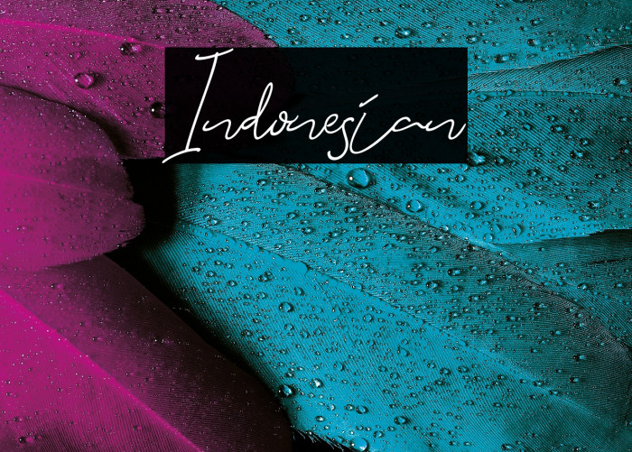 Indonesian Example 3