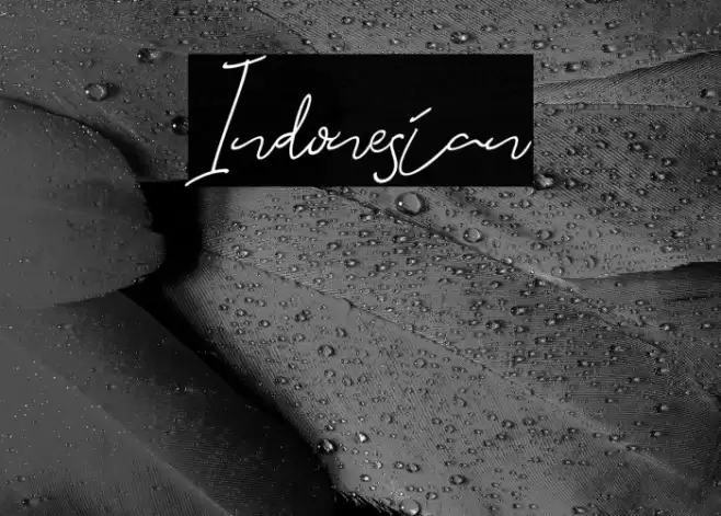 Indonesian Font examples