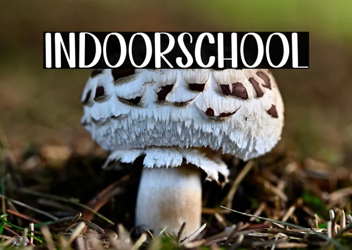Indoor School Example 3