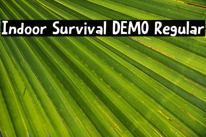 Indoor Survival DEMO Regular Example 2