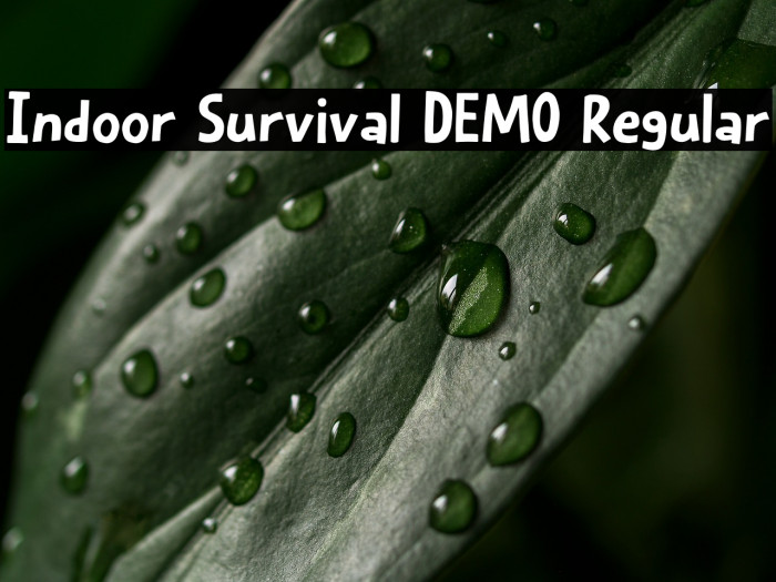 Indoor Survival DEMO Regular Example 3