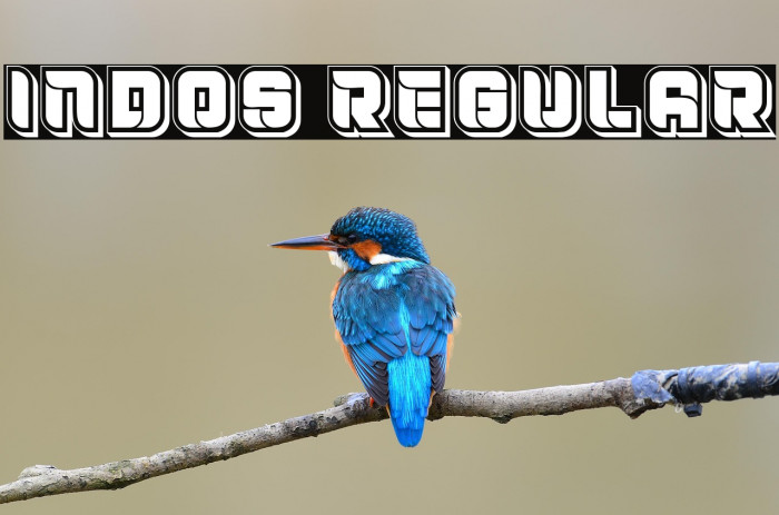 Indos Regular Example 1