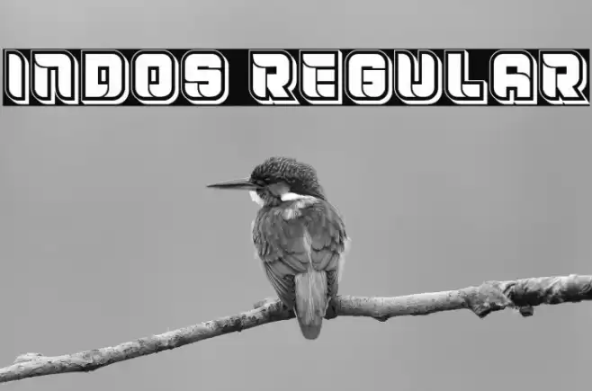 Indos Regular Font examples