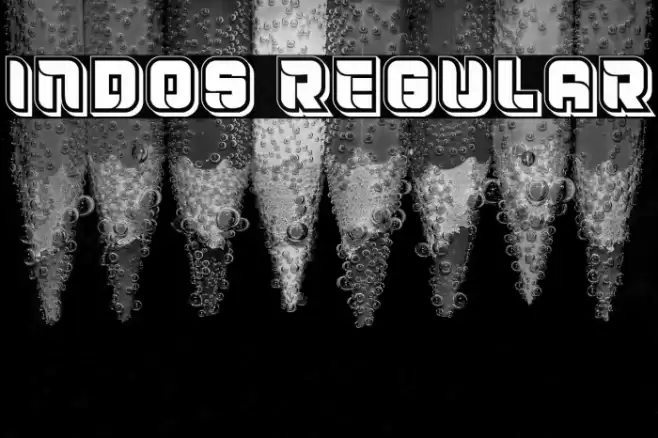 Indos Regular Font examples