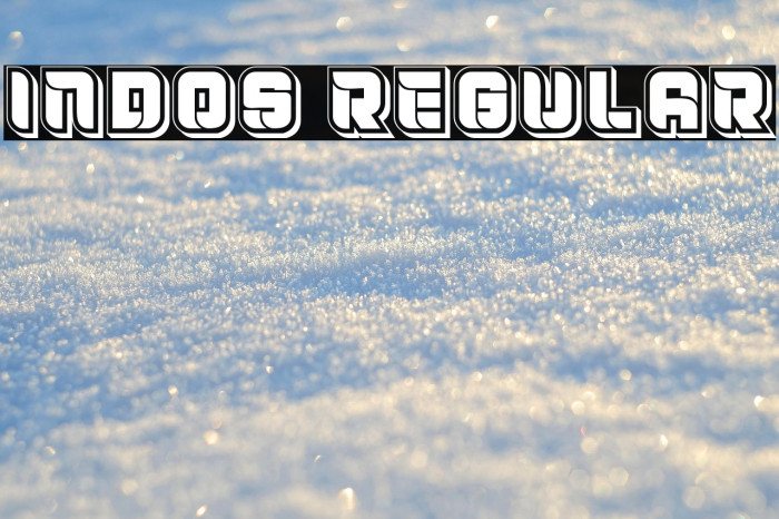 Indos Regular Example 3