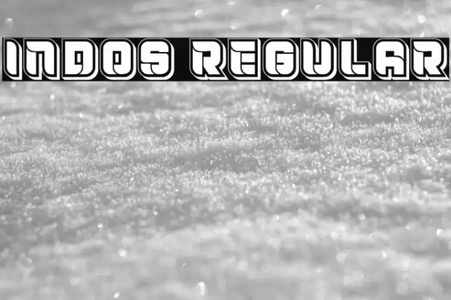 Indos Regular Font examples