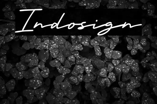 Indosign Font examples