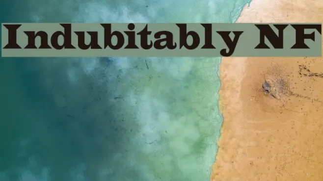 Indubitably NF Example 2