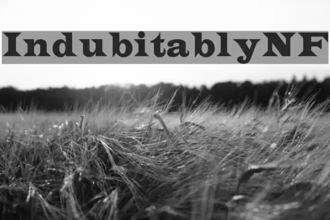 IndubitablyNF Font examples