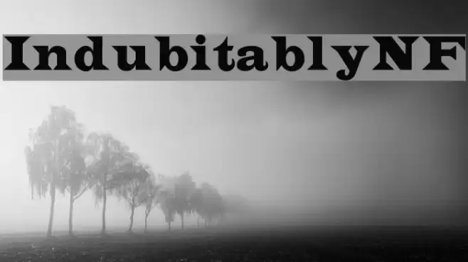 IndubitablyNF Font examples