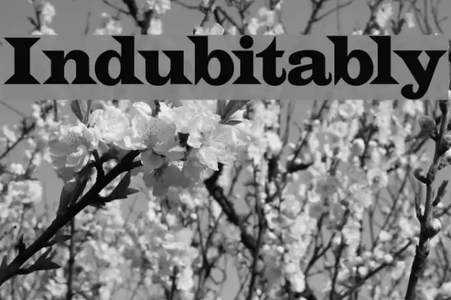 Indubitably Font examples