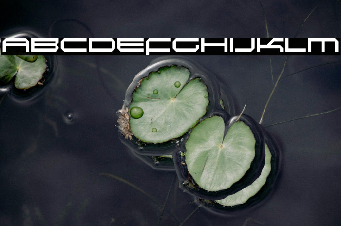 Induction-Regular Example 3