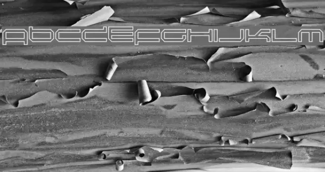 Induction Font examples