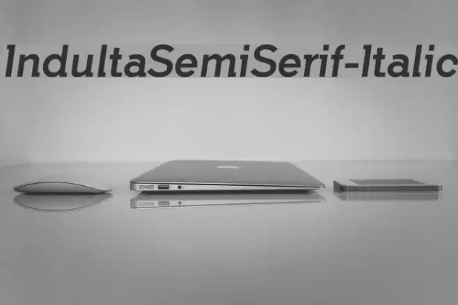 IndultaSemiSerif-Italic フォント examples
