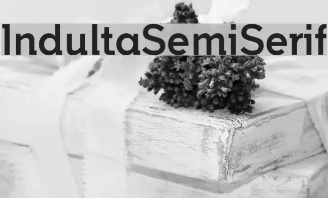 IndultaSemiSerif Font examples