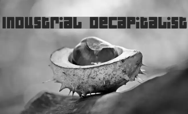 Industrial Decapitalist Font examples