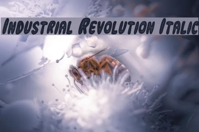 Industrial Revolution Italic Example 1