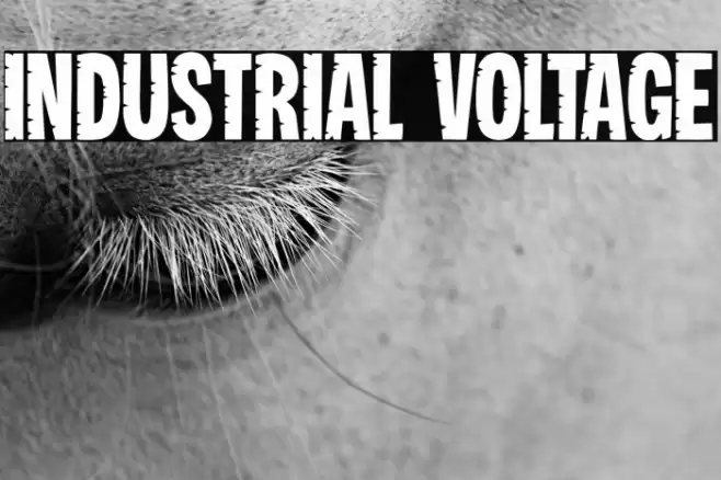 Industrial Voltage Шрифта examples