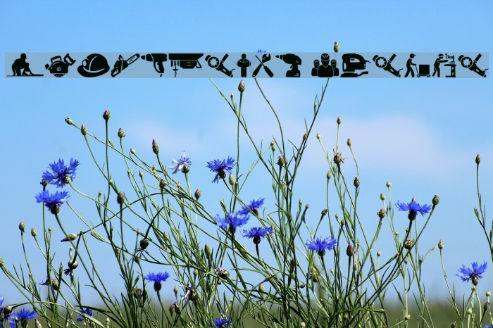 Industrial Worker Example 1