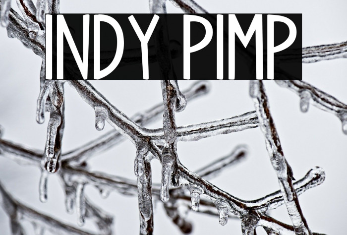 Indy Pimp Font examples