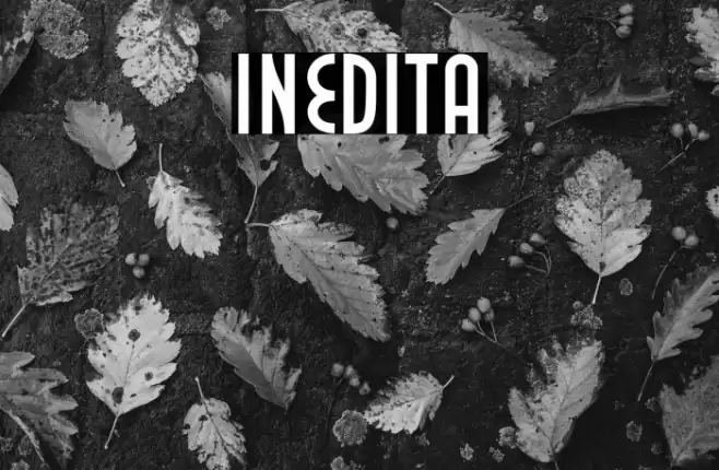 Inedita Font examples