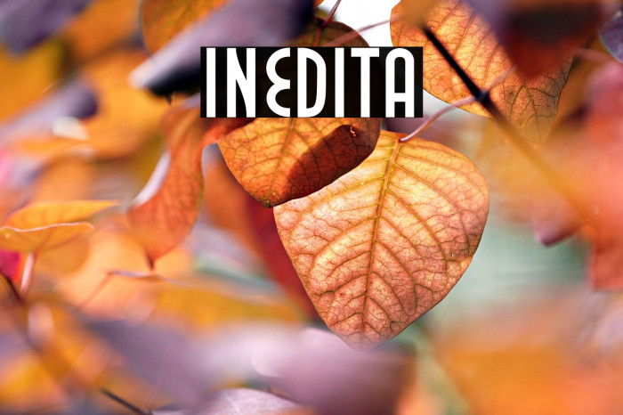 Inedita Example 3